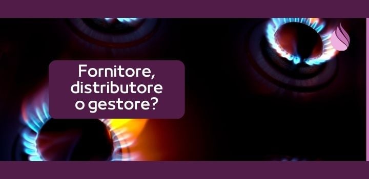 Qual è la differenza tra Fornitore Gas, Distributore e Gestore