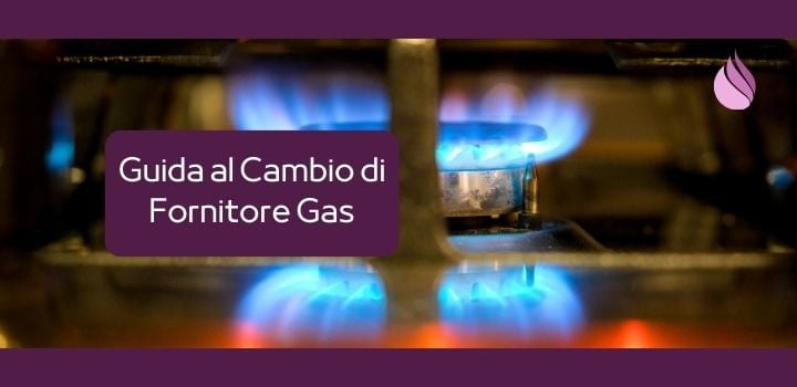 Cambio Fornitore Gas: La Guida Completa